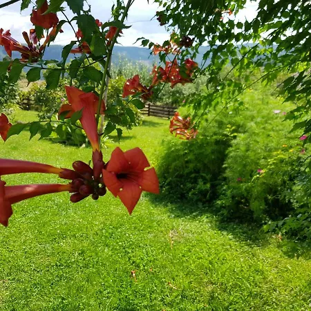 Konaciste Svedrana *